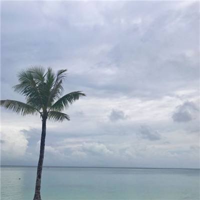 一肖三码app下载